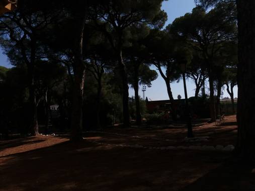 Erykande95 en Hamelin: Paisaje  (Marbella), Aire puro 
#tranquilidad #paz #natualeza #marbella #hermoso #otoño20 