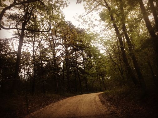 militaryjonesneice en Hamelin: Paisaje, Landscape trees 