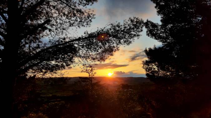 Arianapardos en Hamelin: Paisaje  (Velilla de Jiloca), Atardeceres bonitos
#flora21 #sol #atardecer #arboles #flora #paisaje #landscape #naturaleza
