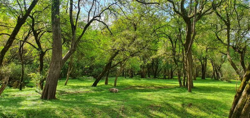 roalva43 en Hamelin: Paisaje  (Puerto Yeruá)