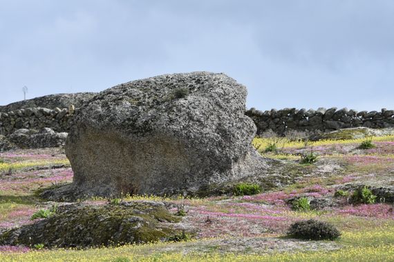 Info en Hamelin: Paisaje, Pantano Nuevo del Casar de Cáceres 