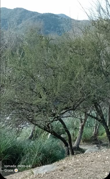 GrachuV. en Hamelin: Paisaje, Montañas,río ..