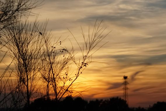 lidiamontserrat48.lm en Hamelin: Paisaje  (Zaragoza), #atardecer
#hamelin 