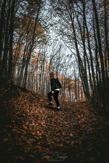 FranChamizoY.Photography en Hamelin: Paisaje  (Cantalojas), Otoño, ¡pura Vida!🍂🥰
#castillalamancha #guadalajara #otoño20 #haya #arboles #paisaje #natural...