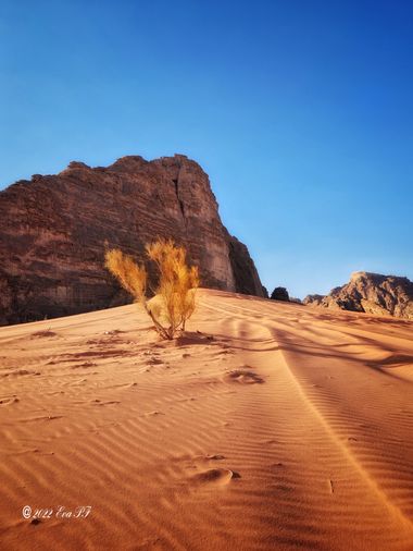 Eva.160968 en Hamelin: Paisaje  (القويرة الجديدة), #desierto #desiertojordano 