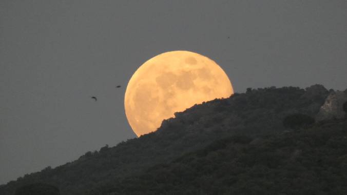 Ana Guillén en Hamelin: Paisaje  (Cáceres), Luna llena en plena salida