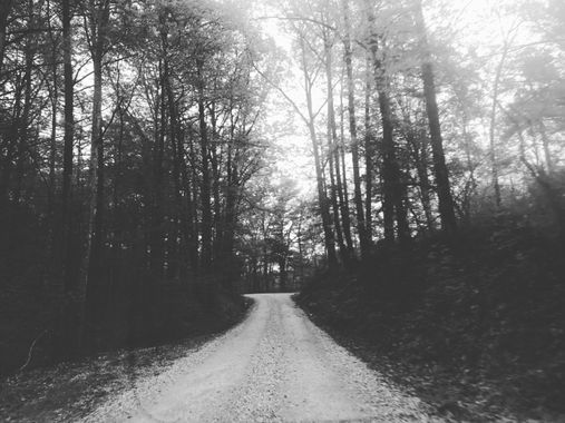 militaryjonesneice en Hamelin: Paisaje, #landscape outside tree. Road 