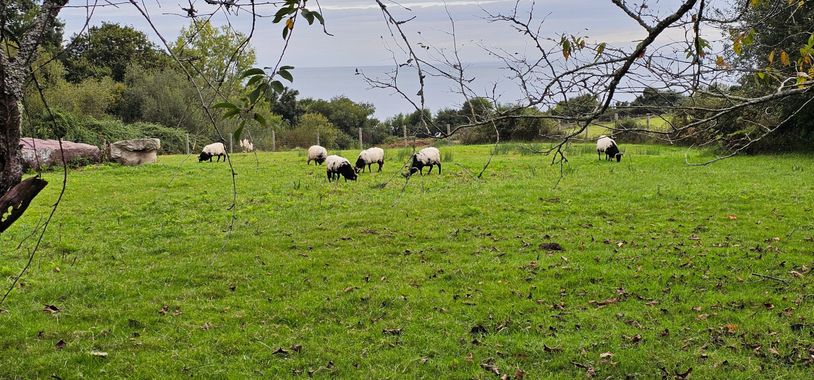 Vivi en Hamelin: Paisaje, Paseo por San Juan de luz