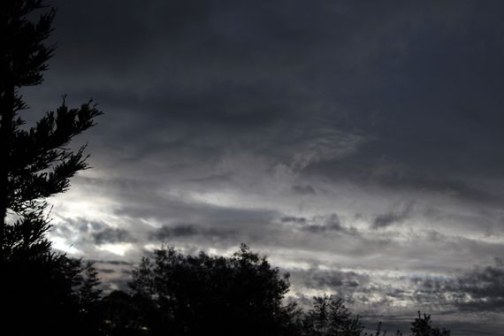 XxPrOzMeNxX en Hamelin: Paisaje, #arbol #beum #chile #clouds #darkness #day #dia #dunkelheit #kiefer #licht #light #luz #natur #naturaleza #naturephotogra...