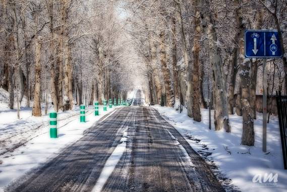 Martinezantonio.correo en Hamelin: Paisaje  (Madrid), #invierno2020