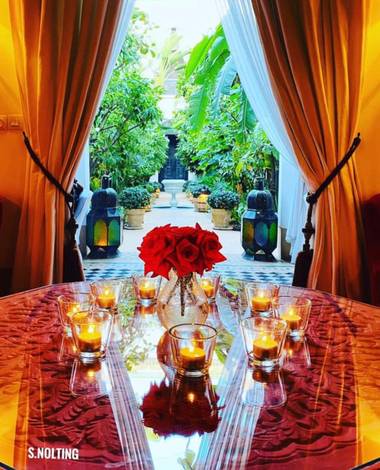 su en Hamelin: Flora  (Marrakech), Patio de arbustos y árboles. Un refugio en medio de la Medina de Marrakech 