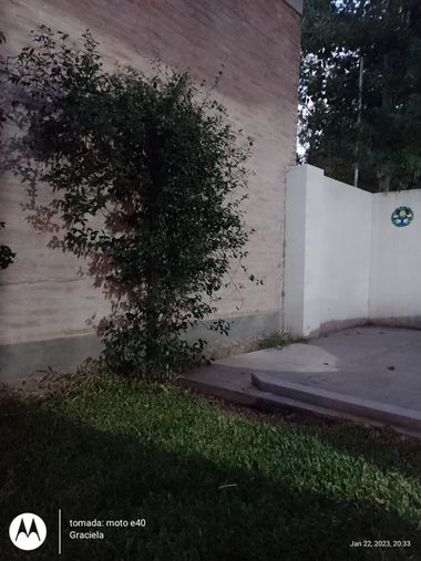 GrachuV. en Hamelin: Paisaje  (Santa Fe), Jardín 🌻💐🌿🌺