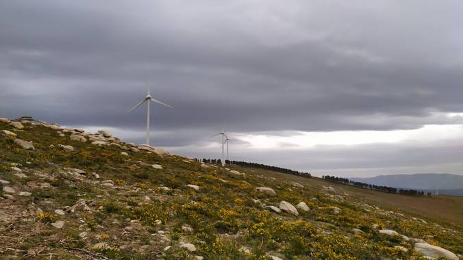 David en Hamelin: Paisaje  (A Cañiza), #paisajes