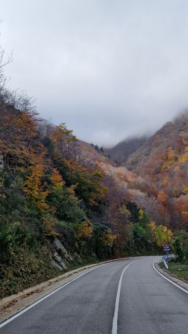 Lauratduch en Hamelin: Paisaje  (Vallès Oriental), Paisaje con niebla#fotomobil#