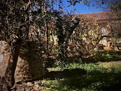 Sayurigion en Hamelin: Paisaje  (Cantalpino), #parquesyjardines 