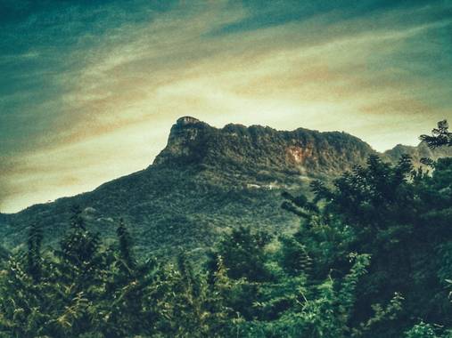 Logancentauro en Hamelin: Paisaje  (Tlalnepantla), En algún lugar de Hidalgo, México…

#paisajes2020 #paisajes20 #paisajes #jardines #flora #flora20