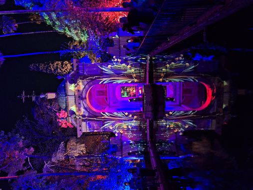 Rocío en Hamelin: Paisaje  (Sevilla), #naturaleza #naturalezaencendida #luces #lucesycolores #lucesnocturnas #sevilla #sevilla_noche #andalucia #alcazar #f...