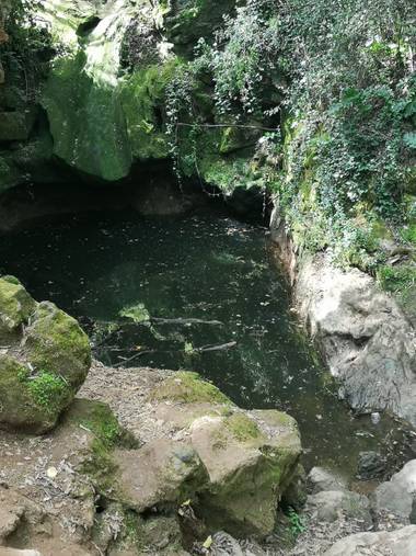 Lunamartin en Hamelin: Paisaje, Baños de popea