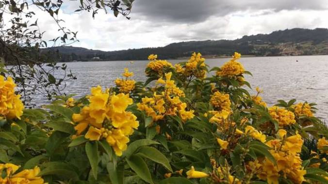 Doplapi en Hamelin: Paisaje, Lago Sochagota. Colombia