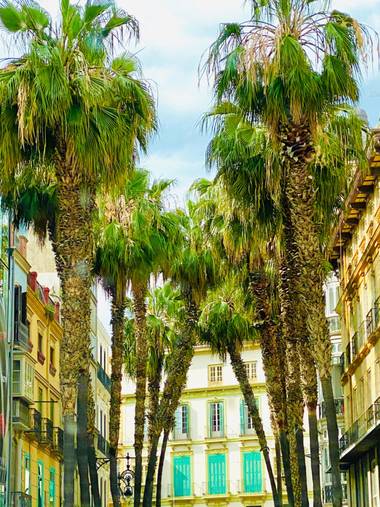 su en Hamelin: Paisaje  (Málaga), Málaga 