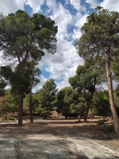 Solerantonio2 en Hamelin: Paisaje  (Benahadux), Coinsidencias visuales