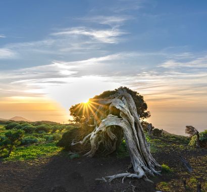 3pnoe6 en Hamelin: Paisaje  (Frontera), #elsabinar#elhierro#isladelhierro#sabinas