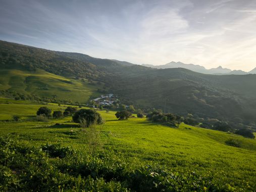 Fran G.d.l. r en Hamelin: Paisaje  (Montecorto), #montecorto#paisajesrurales 