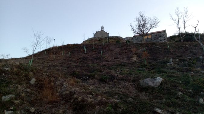 David en Hamelin: Paisaje  (Vigo), #vigo #Paisaje #