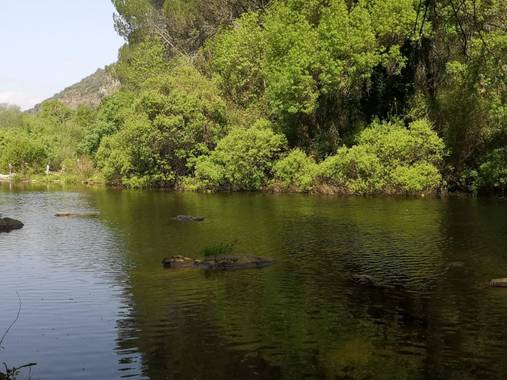 Lunamartin en Hamelin: Paisaje, Río guadiato.