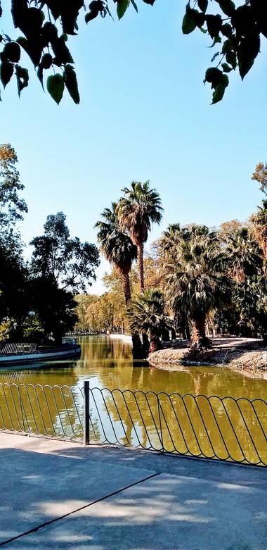 Emanuel Soto Icazatti en Hamelin: Paisaje  (San Juan), Fotografía del lago de Parque de Mayo, Ciudad de San Juan, Argentina