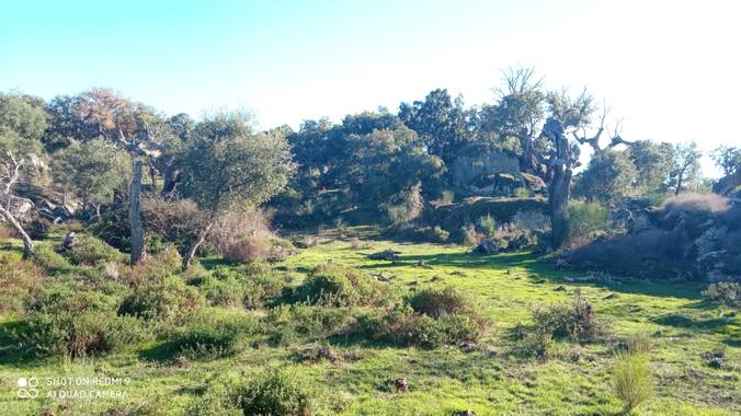 GreenPhoto en Hamelin: Paisaje  (Valencia de Alcántara)