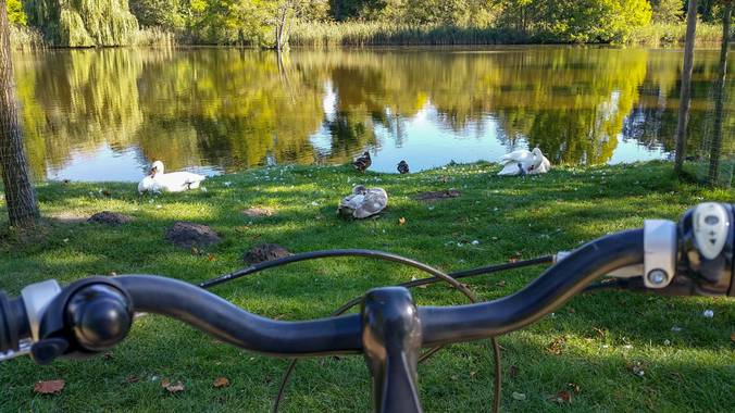 carolinatdt en Hamelin: Paisaje  (Innenstadt), #ParquesyJardines #postdam #alemania #travel #viajar #lago #tranquilidad 