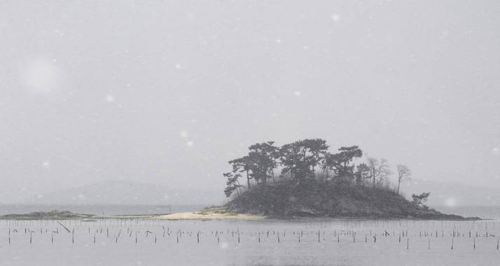 Ignicapillus en Hamelin: Paisaje  (South Korea), Bahía de Suncheon

Tal como tenía previsto, en mi breve viaje a Corea del Sur (enero 2017), apenas hubo oc...