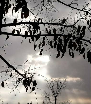 Maite  en Hamelin: Paisaje  (València), #ParquesyJardines 