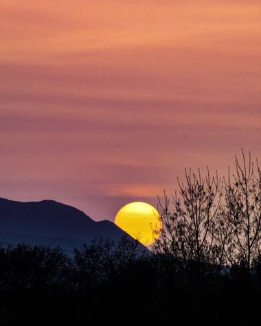 ARTURO  en Hamelin: Paisaje, #aiguamollsils 
#atardecer 