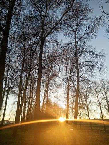 Marimer1512 en Hamelin: Paisaje  (El Piñero), Atardeceres orinales #otoño20