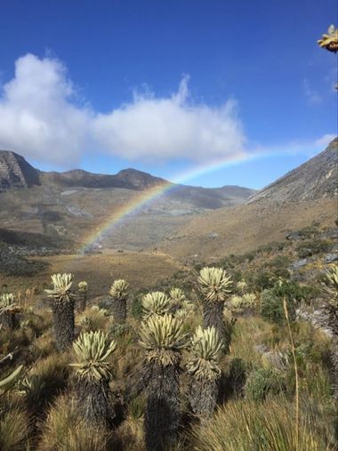 Pisc.LopezMarce en Hamelin: Paisaje  (El Cocuy), #hamelin 
#mountains 
#hamelinpaisajes 