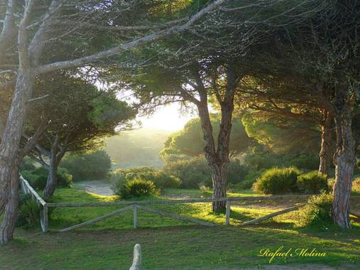 Rafael Molina  en Hamelin: Paisaje  (Tarifa), #invierno20#cadiz#tarifa# naturalezapaizajista