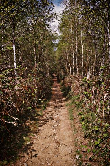 XᵢₓₐWₕᵢₜₑ en Hamelin: Paisaje  (Elorrio), Caminito hasta la cima 
