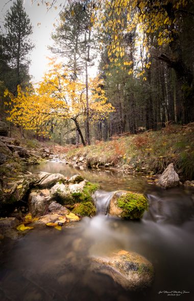 jomartinezfranco en Hamelin: Paisaje  (Cazorla), Otoño en el Barranco del Río Guadalentín, en el Parque Natural de Cazorla, Segura y las Villas.

#paisaje ...