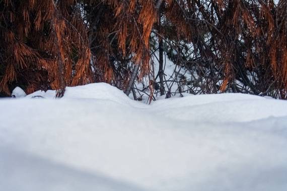 Yai_22 en Hamelin: Paisaje  (Torremanzanas), #invierno20 