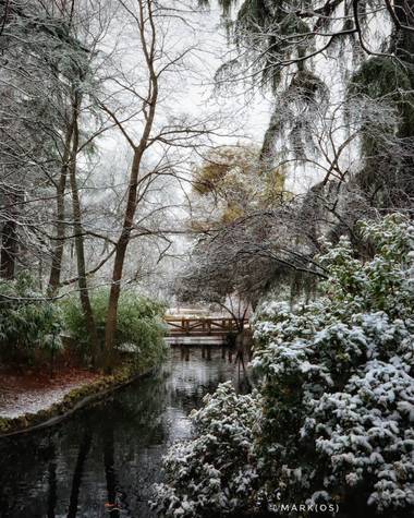 MARK(OS) - Mis fotos de Madrid en Hamelin: Paisaje  (Madrid), The Warmest Coldness. (III)

#invierno20 #invierno #winter #frio #coldness #nieve #snow #parq...