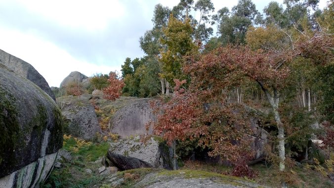 David en Hamelin: Paisaje  (Ponteareas), #paisaje