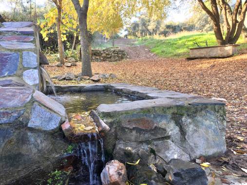 Manubarbecho en Hamelin: Paisaje  (Córdoba), #ParquesyJardines      Parque Forestal Los Villares (Córdoba) 