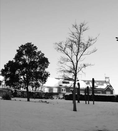 Pilicupa en Hamelin: Paisaje  (Madrid), #invierno20
#díasdespuésnieve