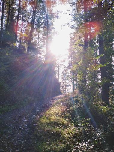 Amafer en Hamelin: Paisaje  (Bizkaia)