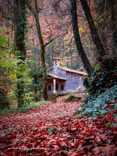 ARTURO  en Hamelin: Paisaje  (Olot), #santmiquelcorb