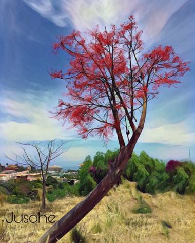 Juanatlantida82 en Hamelin: Paisaje, Tenerife