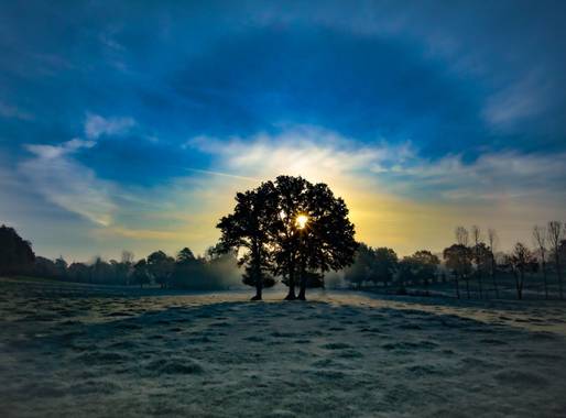 david en Hamelin: Paisaje  (Saint-Aubin-du-Cormier), @apfb primeros rayos de sol en un campo de Bretaña con 0 grados. Si pudiera explicaros qué fenómeno me...