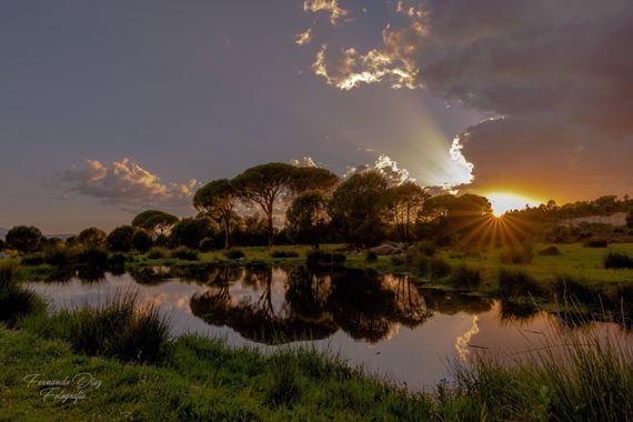 fdhphotos en Hamelin: Paisaje  (Sotillo de la Adrada), #paisaje 
#atardecer 